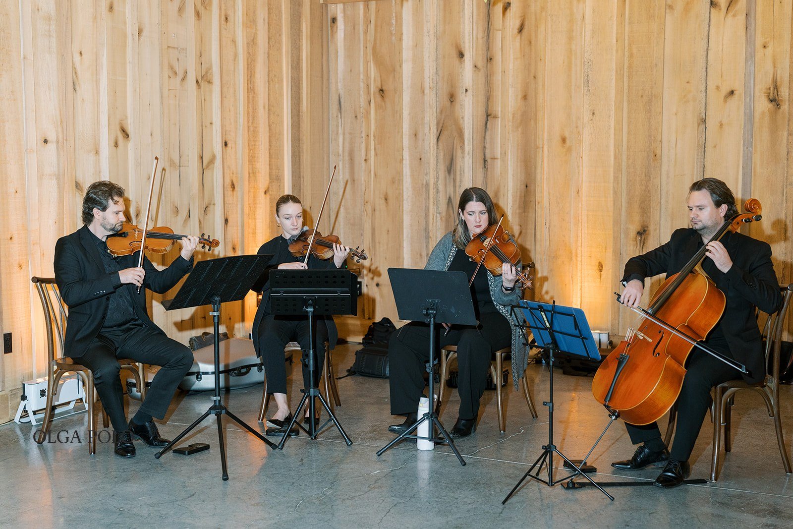 String musicians performing during Maia and Troy's Boone Valley Farm ceremony