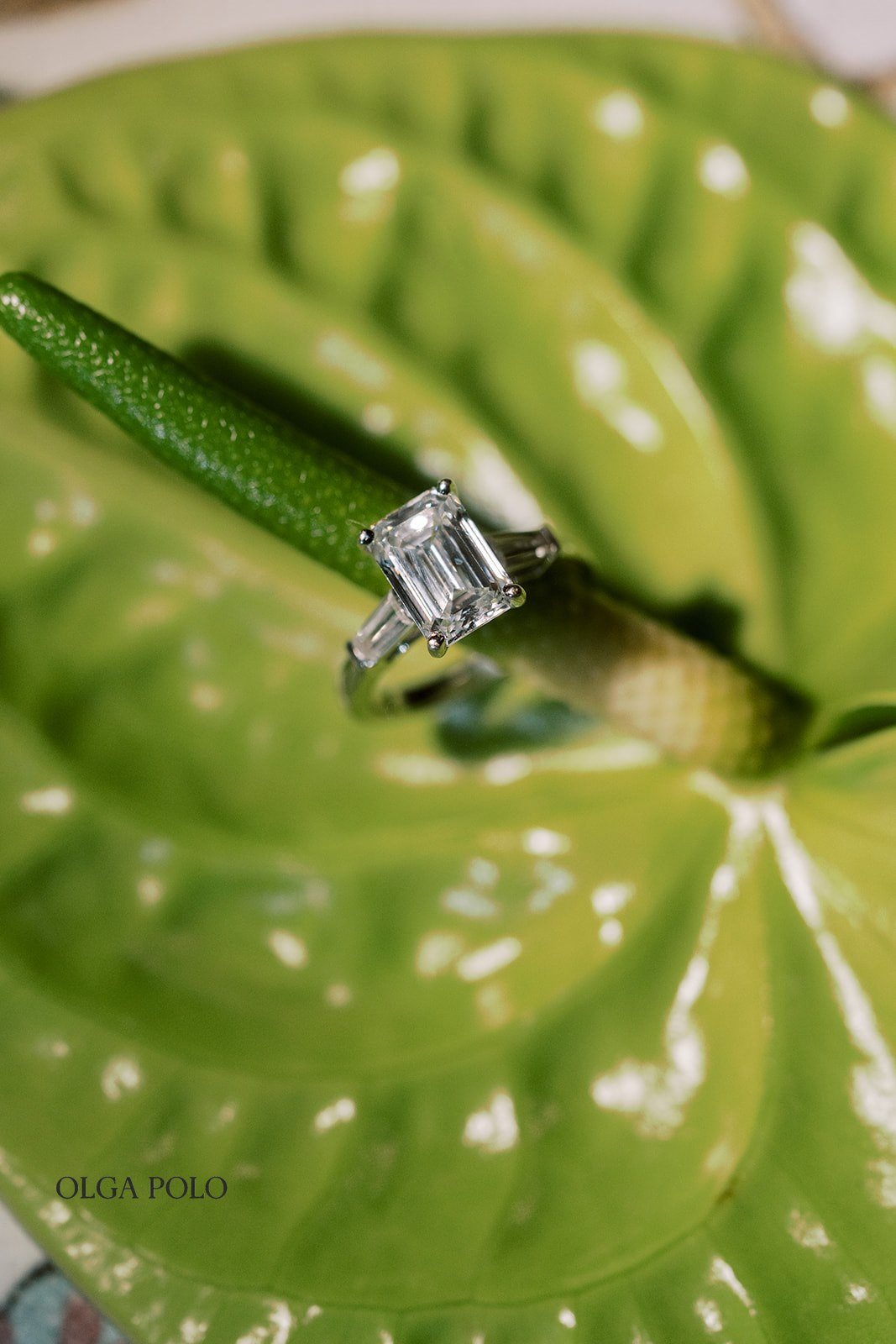 Close-up photograph of Maia and Troy's wedding rings