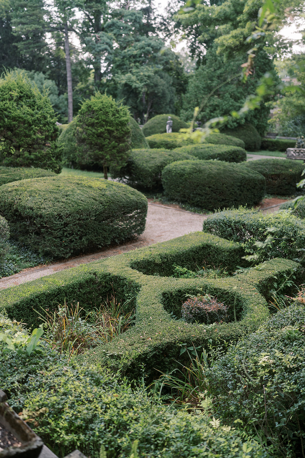 Formal clipped hedges and garden geometry at Laurel Court