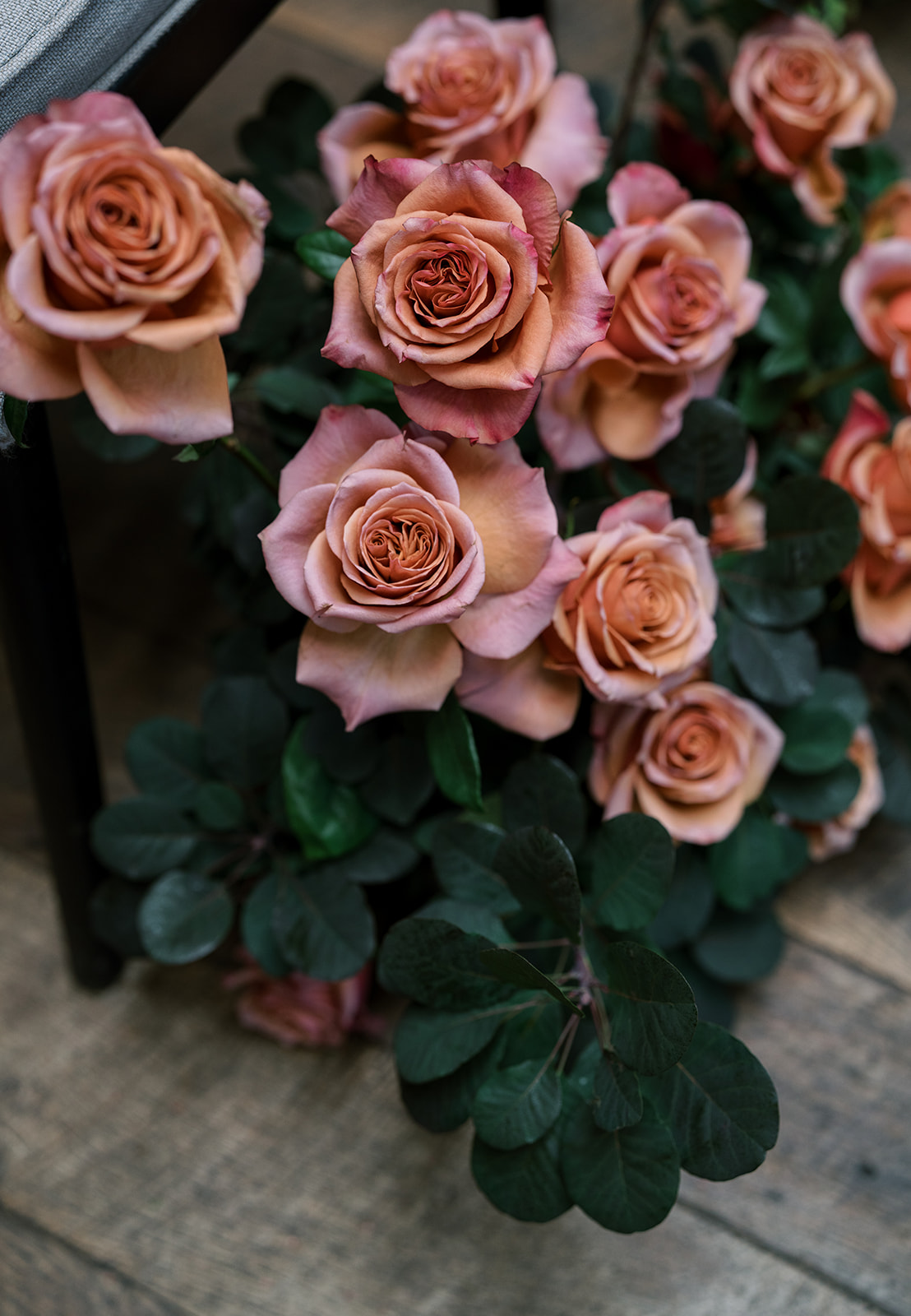 Cluster of mauve roses and dark foliage