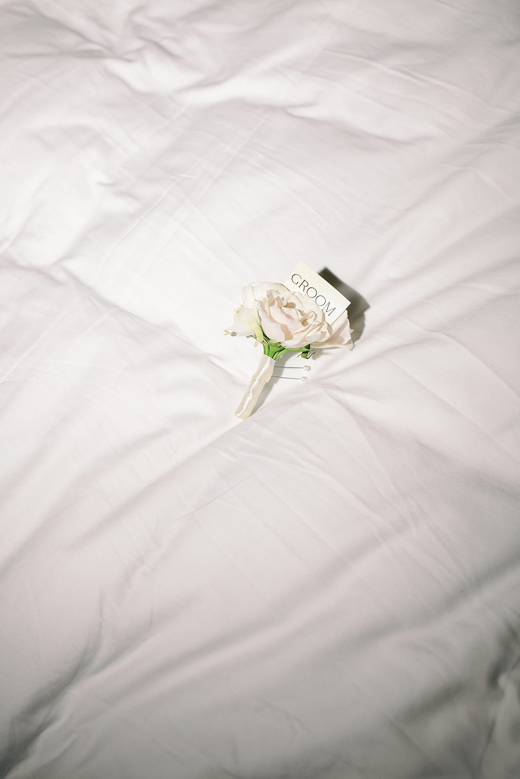 Joey and Caroline's wedding rings arranged on white fabric