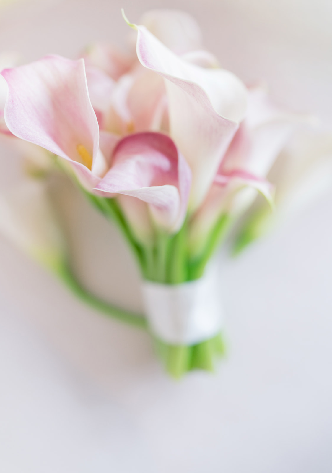Meghan's pale pink calla lily bouquet photographed before the ceremony