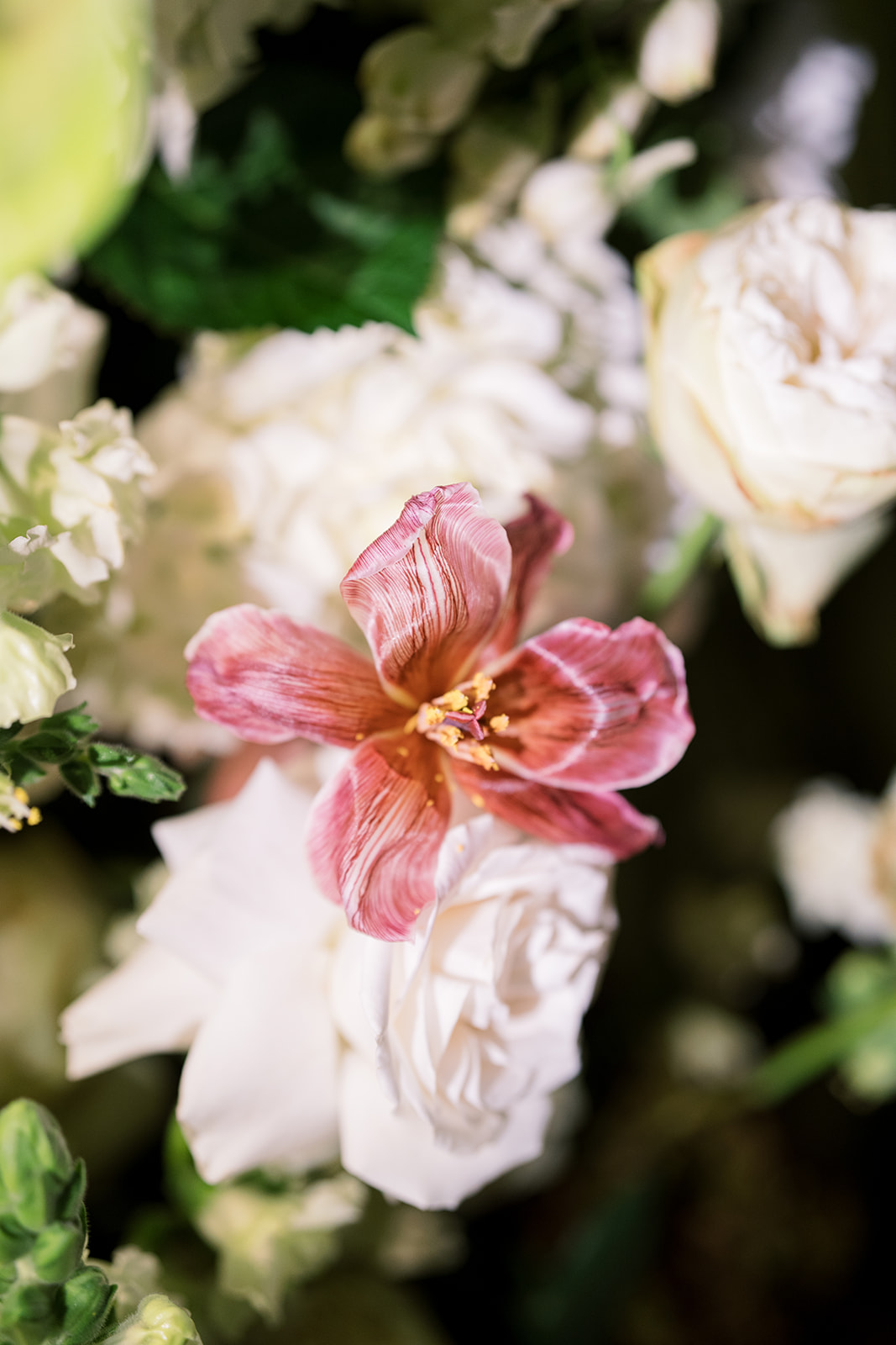 Close-up of a pink orchid and pale roses in the reception florals