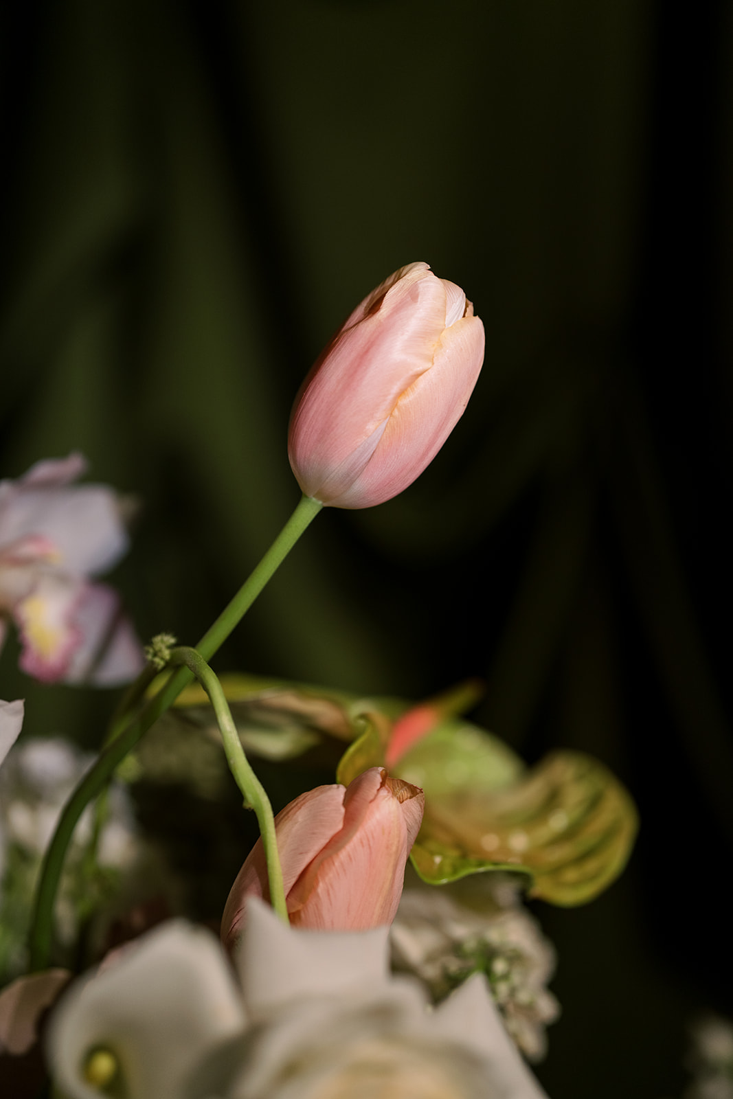 Close-up of pink tulips in Meghan and Kevin's reception flowers