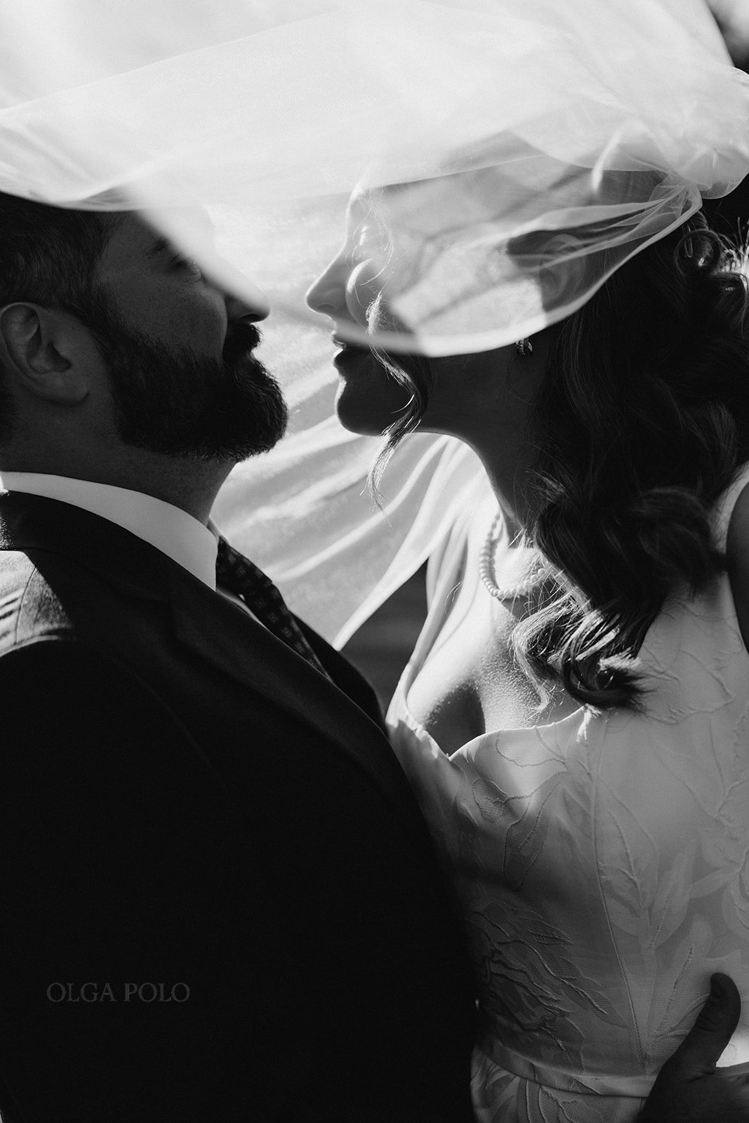 Ryan and Beth kissing beneath Beth's wedding veil outdoors
