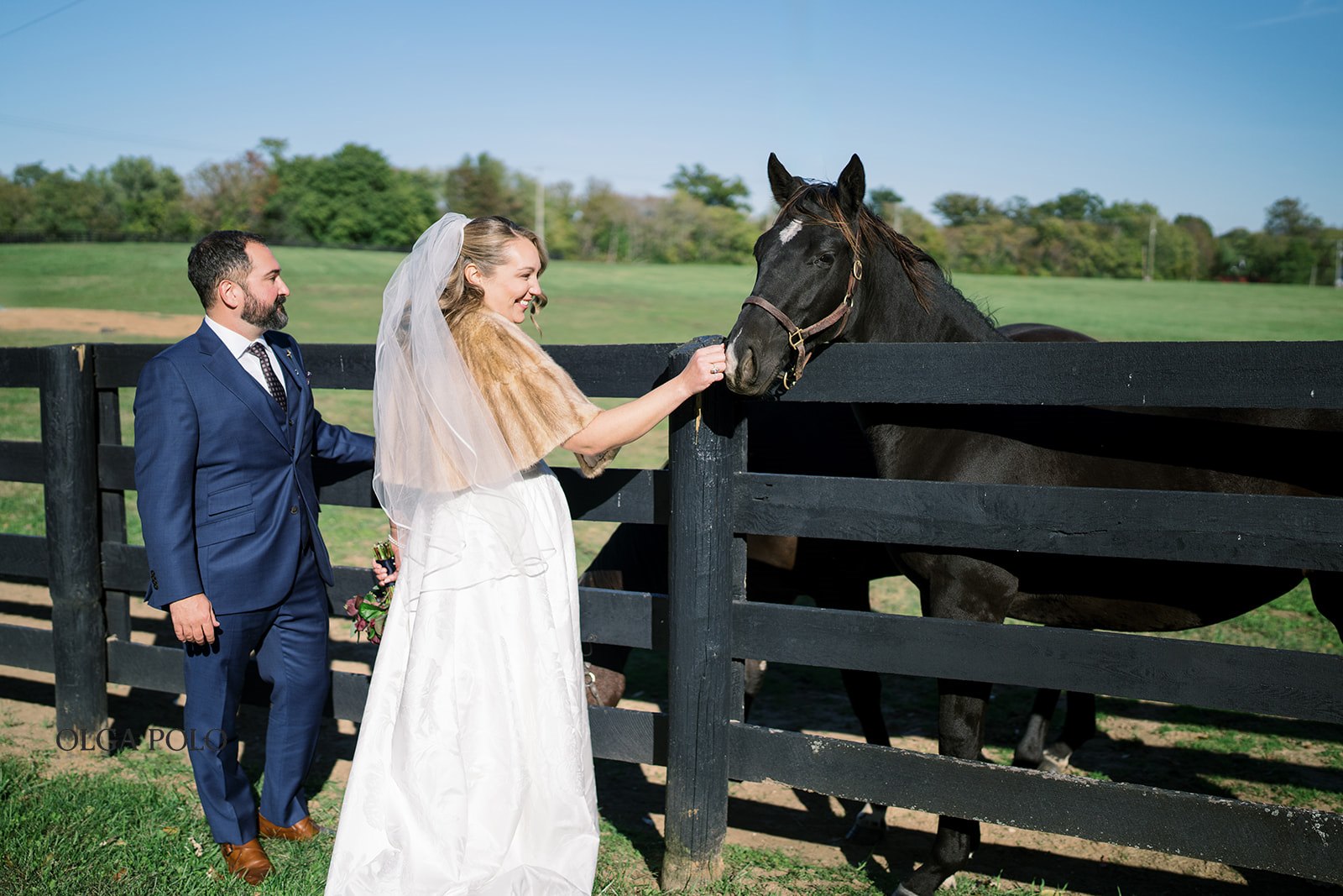 Ryan and Beth greeting a horse beside a black paddock fence in Kentucky